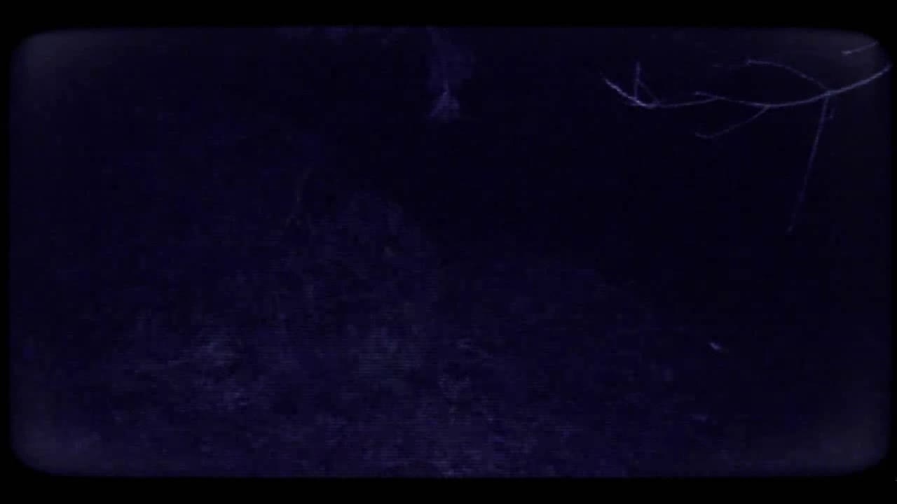 A Trip to Yugoslavia: Director's Cut STEAM Trailer