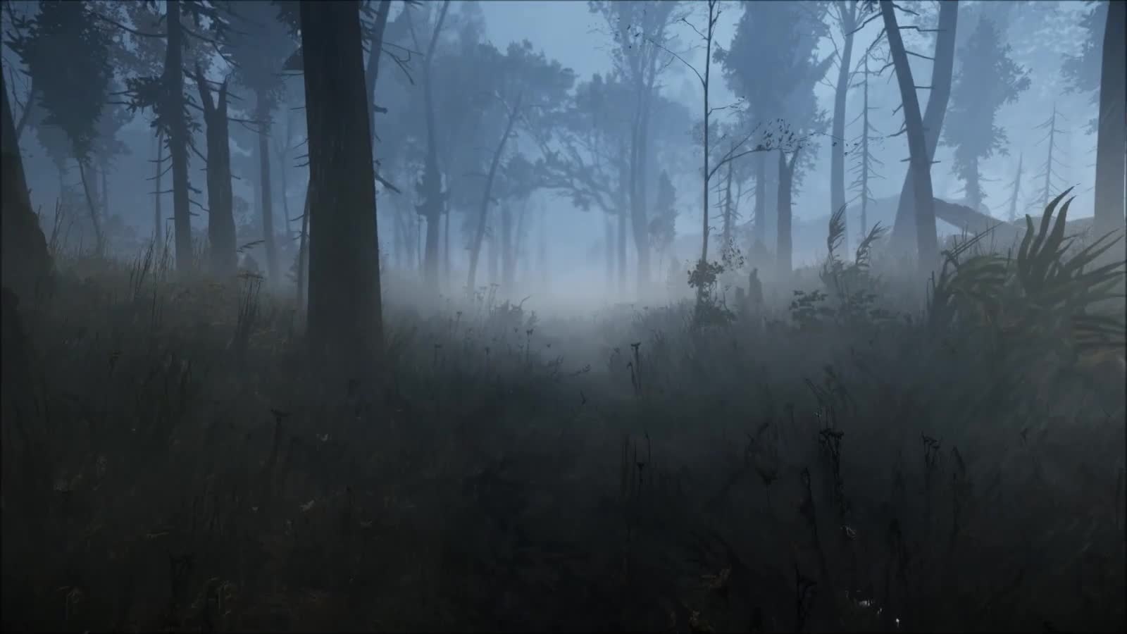 The Land of Pain The Land of Pain Launch Trailer