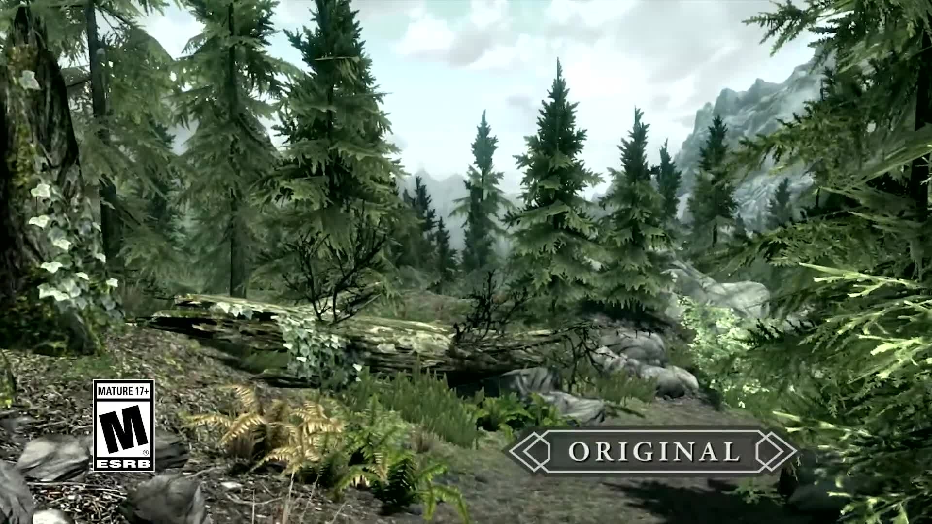 The Elder Scrolls V: Skyrim Special Edition Skyrim Special Edition Trailer