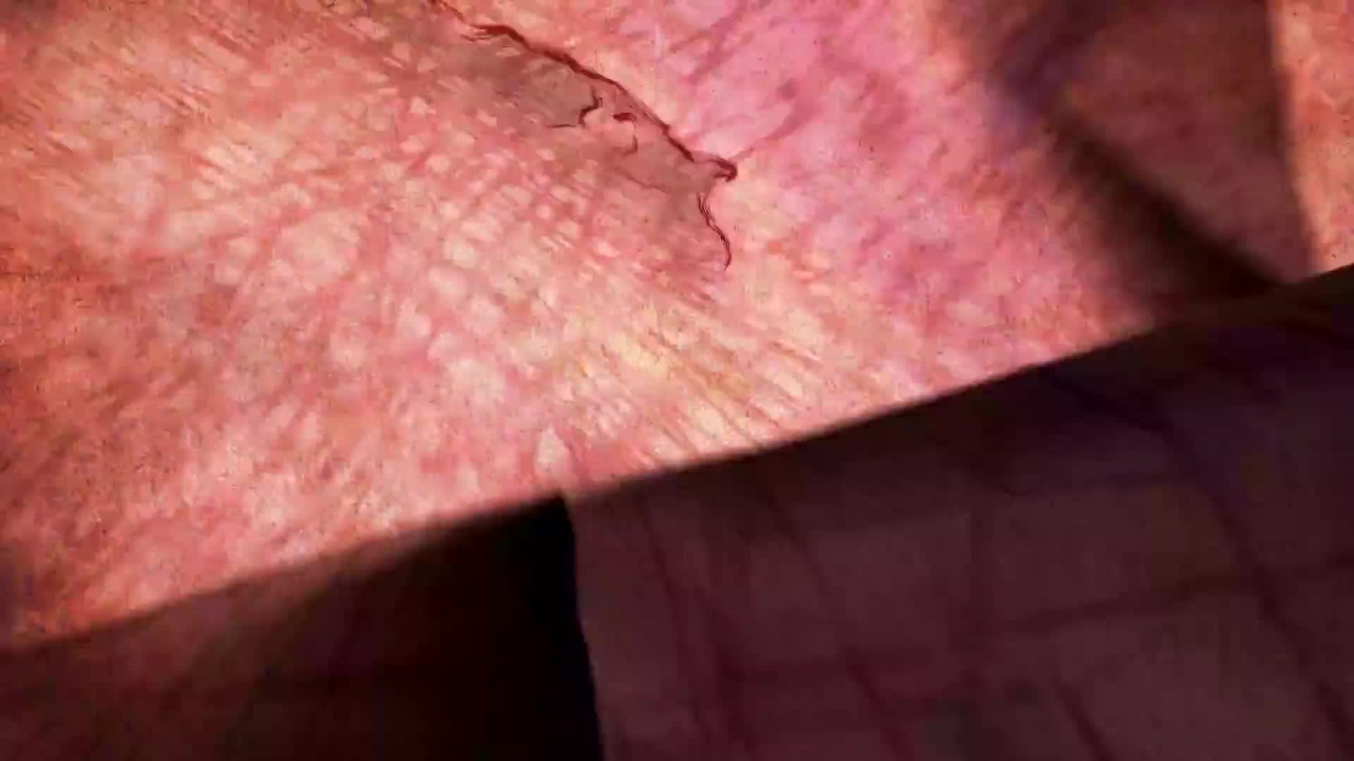 Nights of Azure Opening Movie