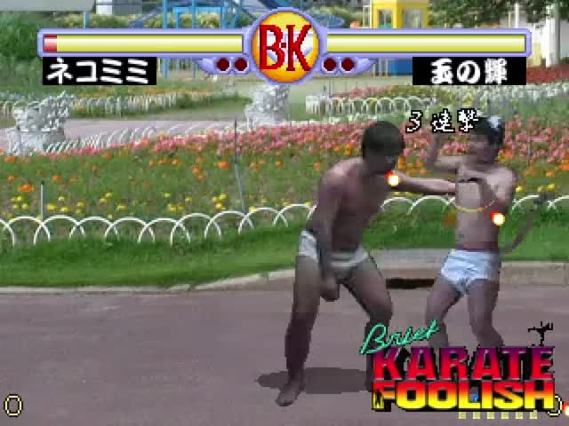 Brief Karate Foolish Demo3