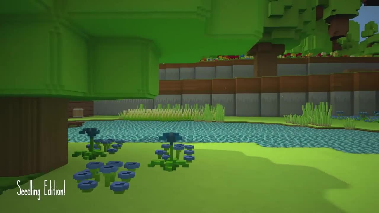 Staxel Seedling
