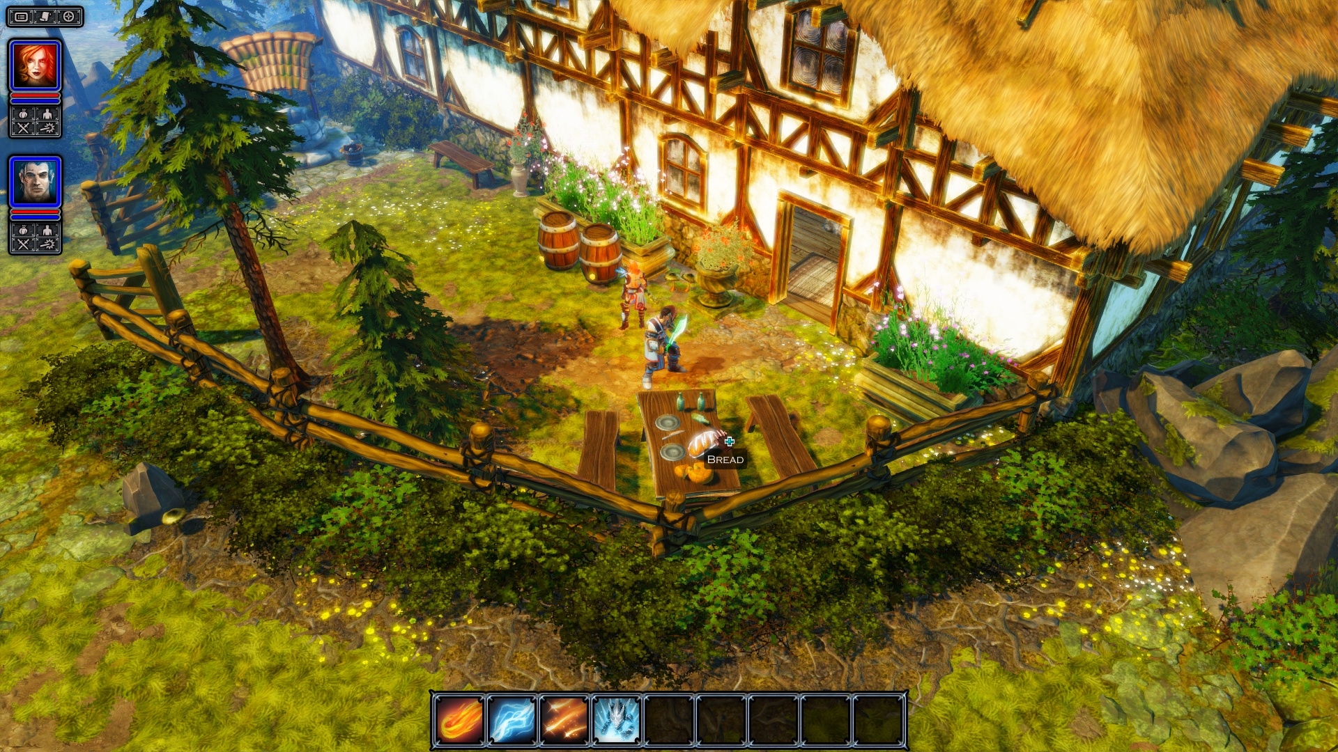 Divinity: Original Sin Screenshot 5
