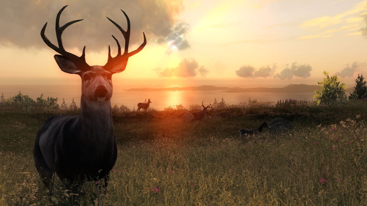 theHunter Screenshot 3