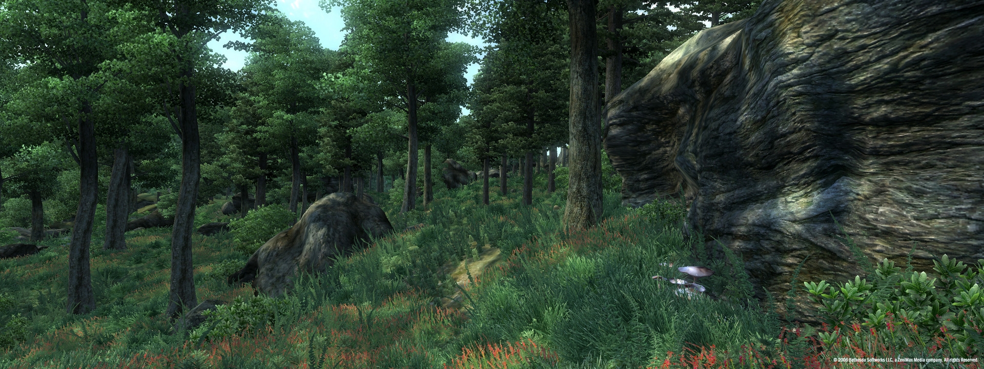 The Elder Scrolls IV: Oblivion Game of the Year Edition Screenshot 3