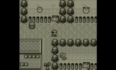 Pokémon Red, Blue, Yellow Screenshot 3