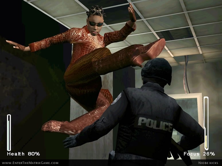Enter the Matrix Screenshot 3