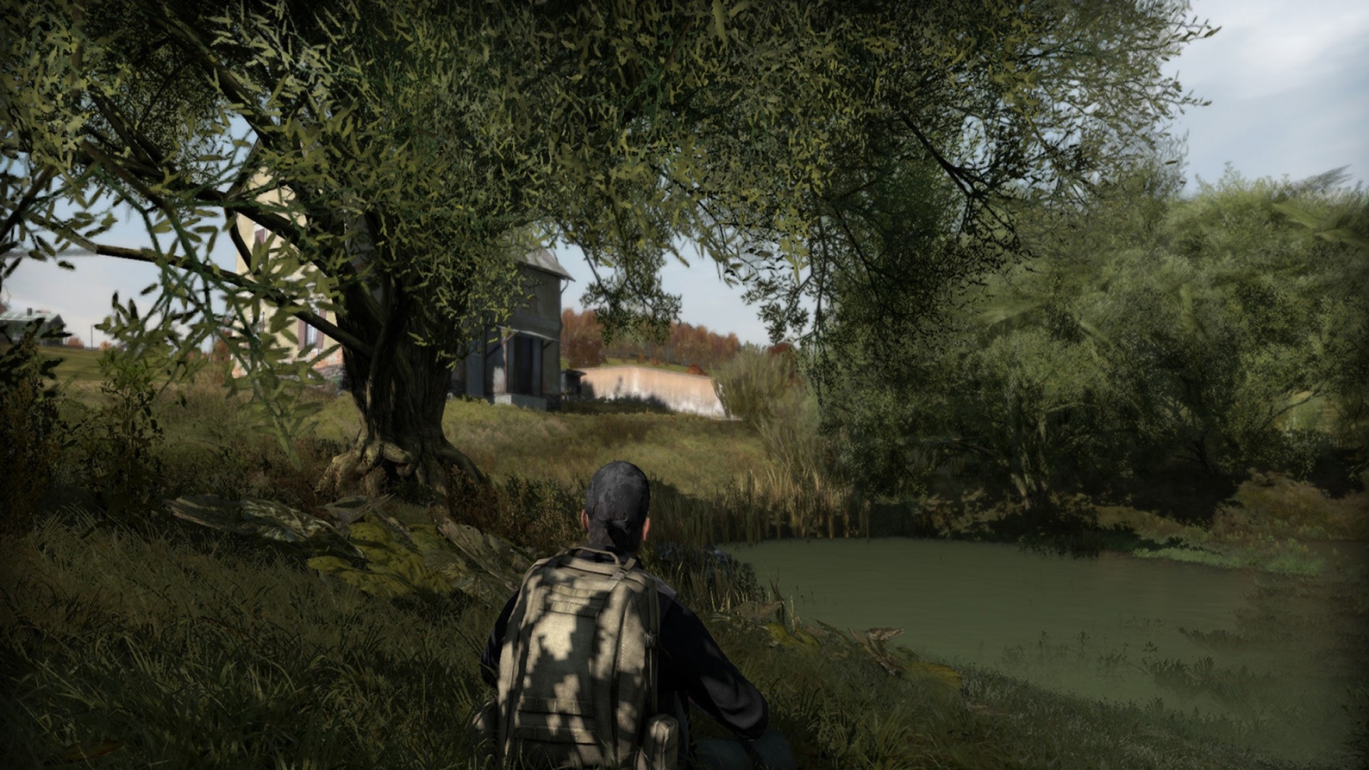 ArmA II: DayZ Mod Screenshot 2