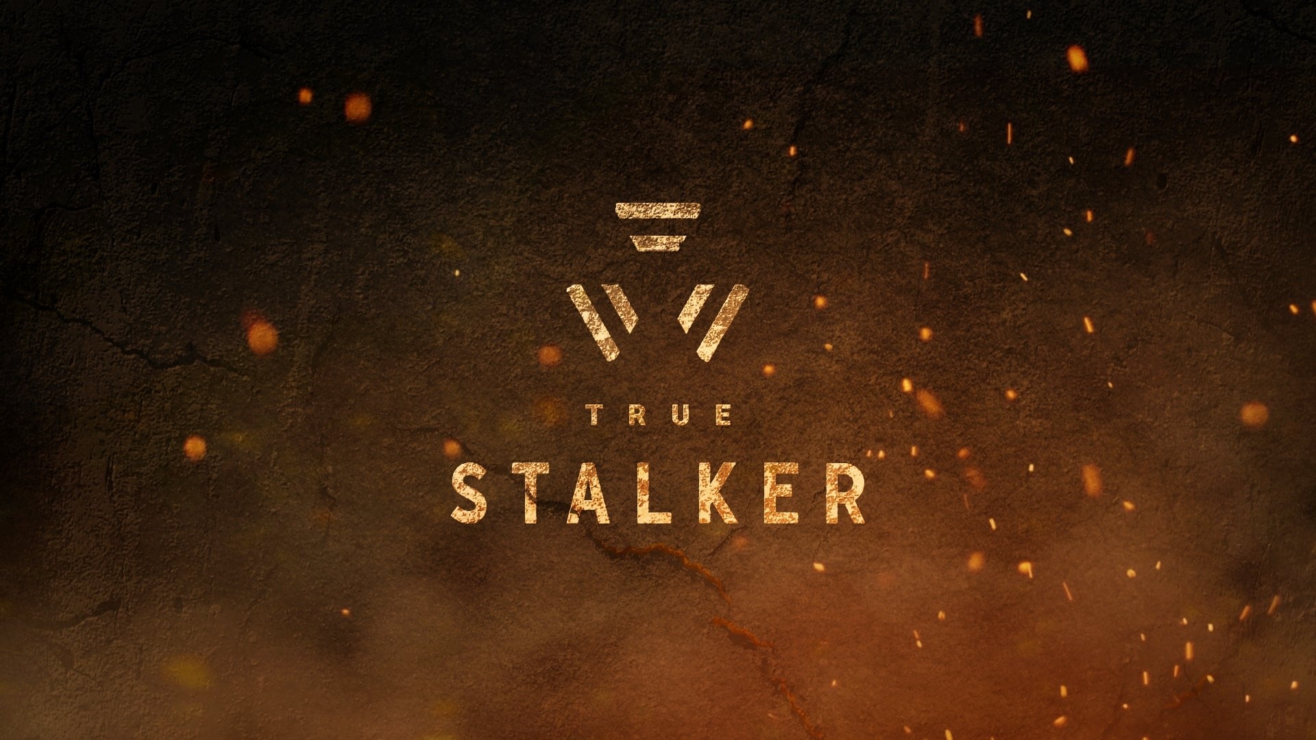True Stalker Screenshot 2