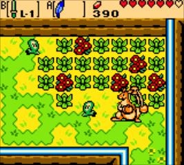 The Legend of Zelda: Oracle of Ages Screenshot 4