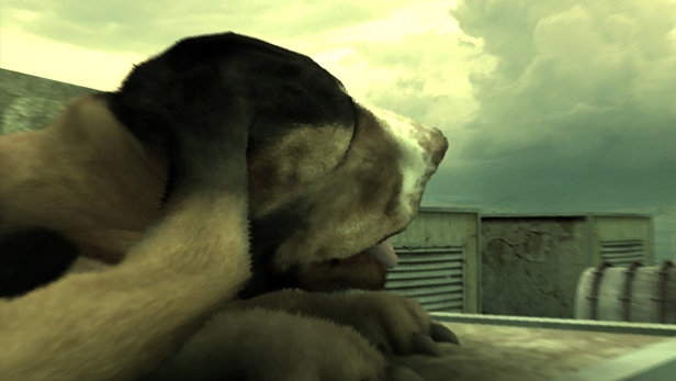 Linger in Shadows Screenshot 4