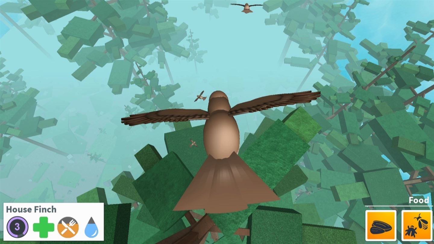 ROBLOX Screenshot 3