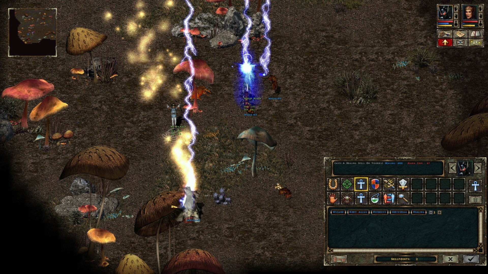 Beyond Divinity Screenshot 4