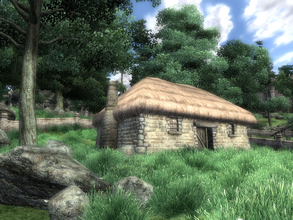 The Elder Scrolls IV: Oblivion Screenshot 5