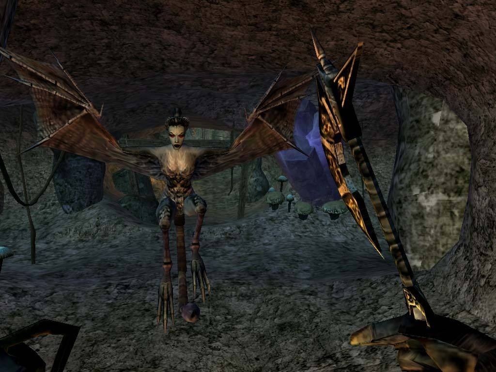 The Elder Scrolls III: Morrowind Screenshot 7