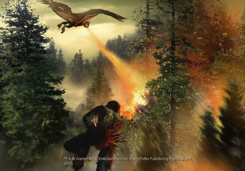 Harry Potter and the Goblet of Fire Screenshot 7