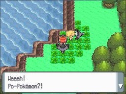 Pokémon Diamond, Pearl Screenshot 5