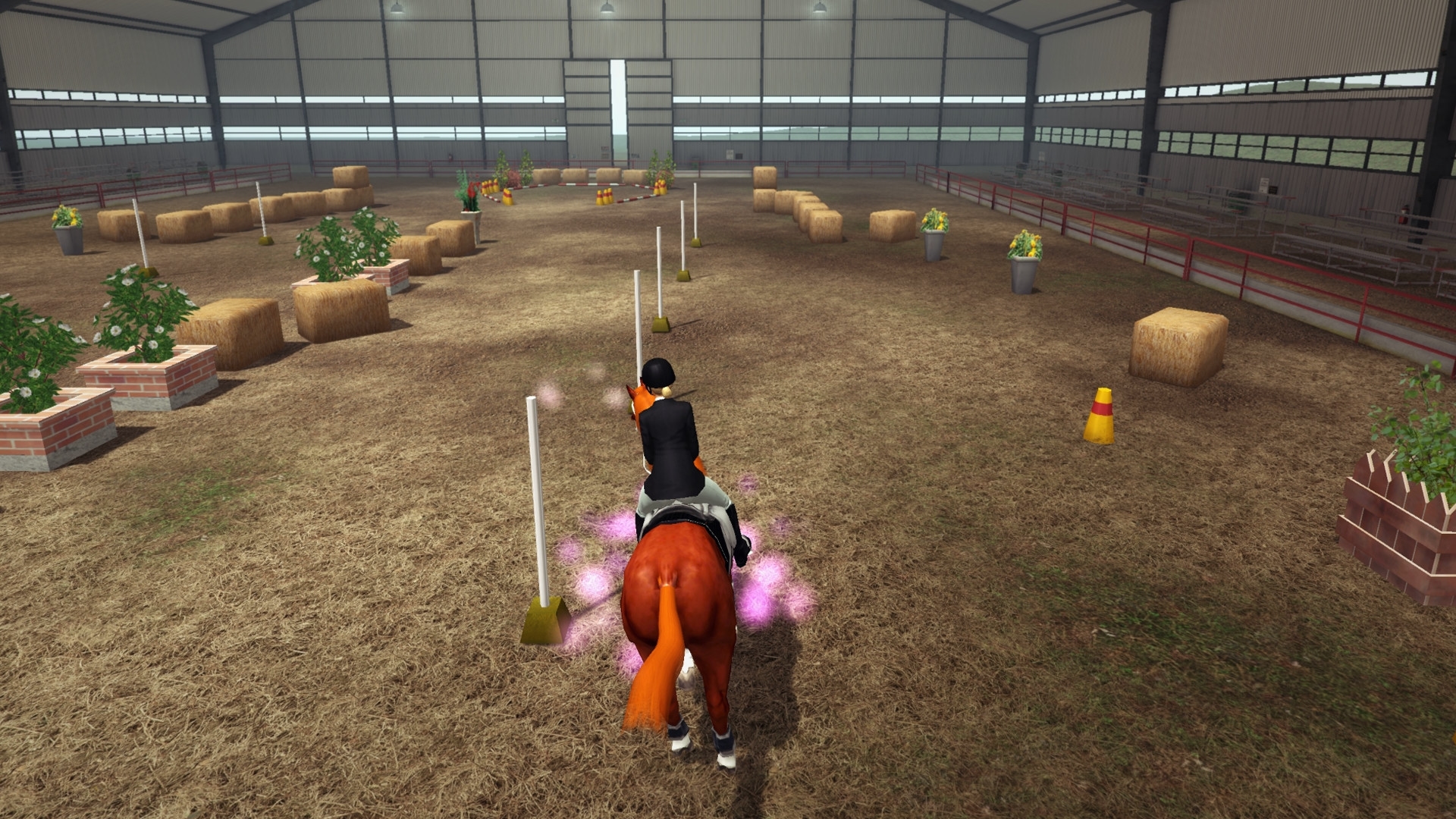 Riding Club Championships Screenshot 2