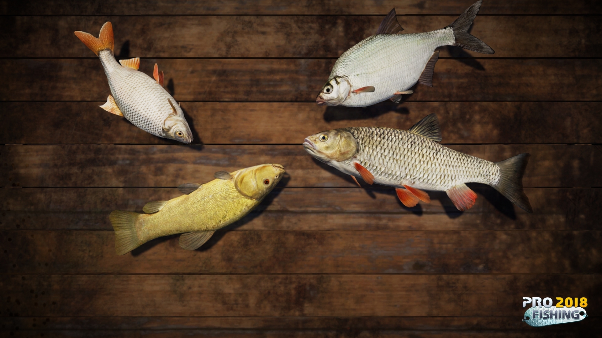 PRO FISHING 2018 Screenshot 7