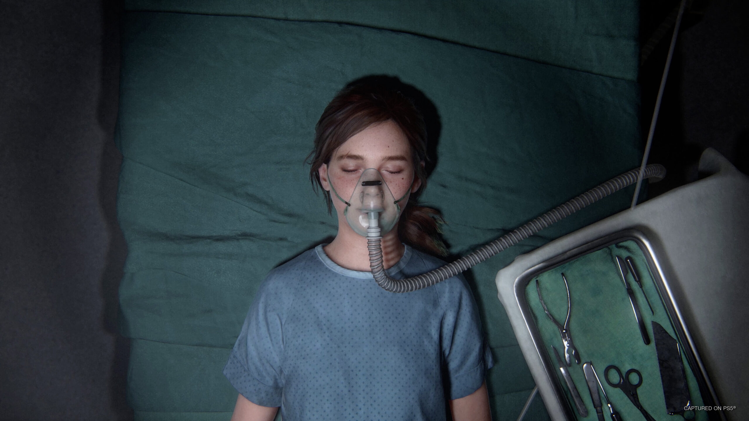The Last of Us Part II Remastered Screenshot 5