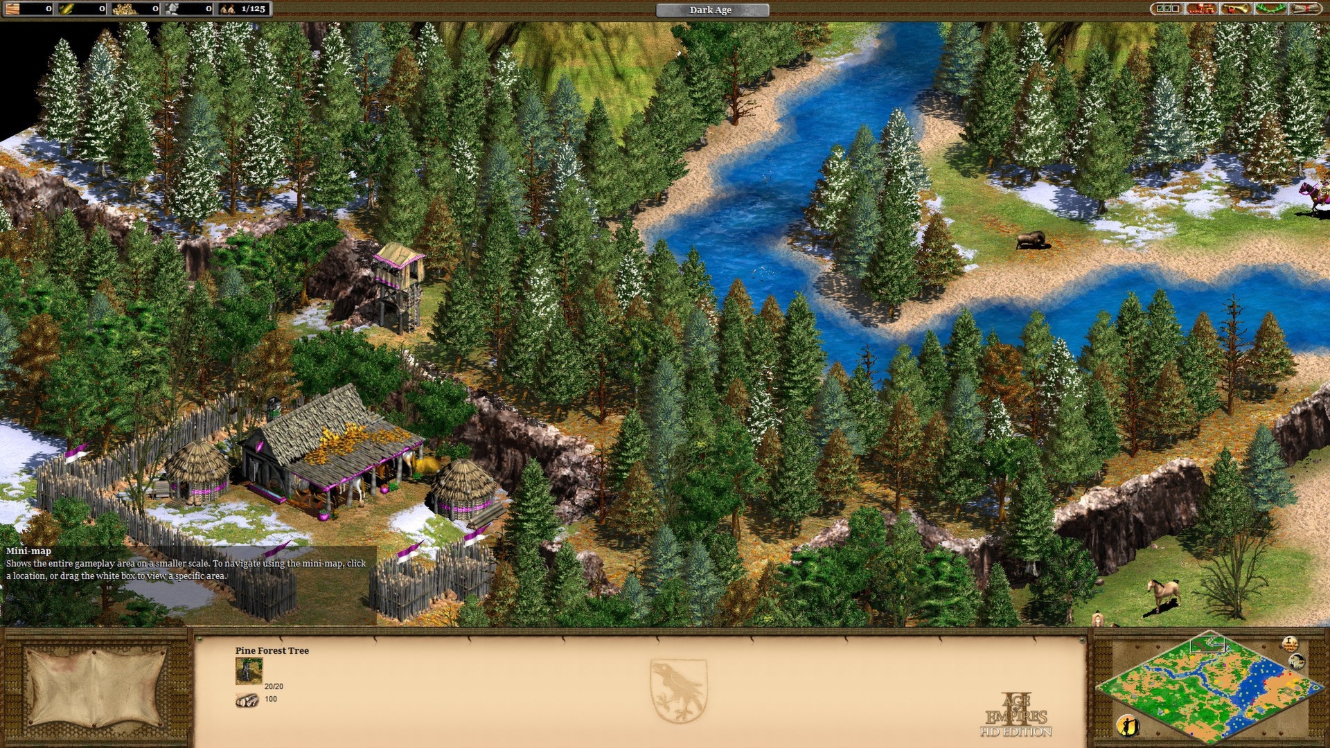 Age of Empires II HD Screenshot 3