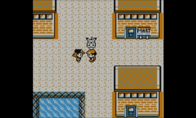 Pokémon Red, Blue, Yellow Screenshot 6