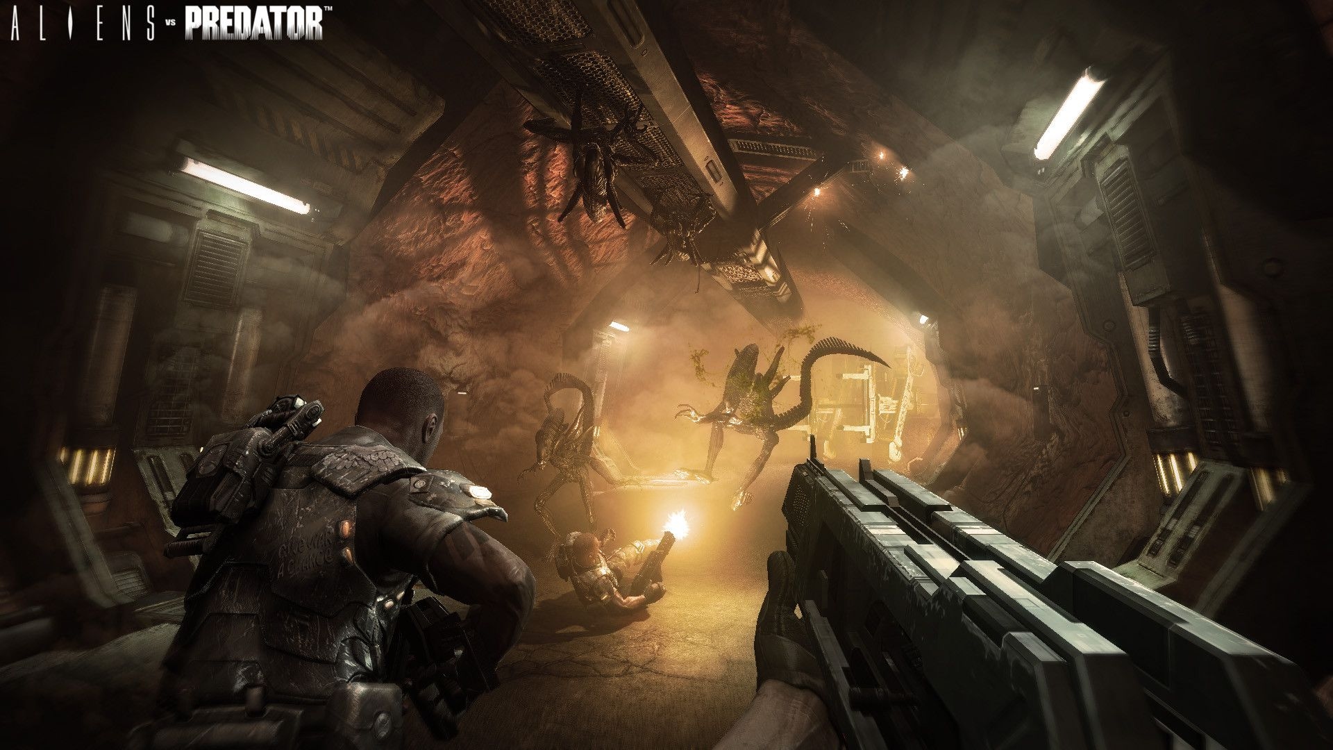 Aliens vs. Predator Screenshot 3