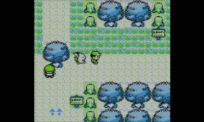 Pokémon Red, Blue, Yellow Screenshot 5