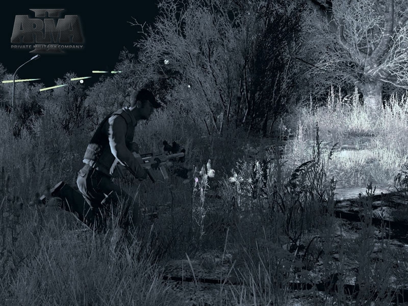 ArmA II: Private Military Company Screenshot 6