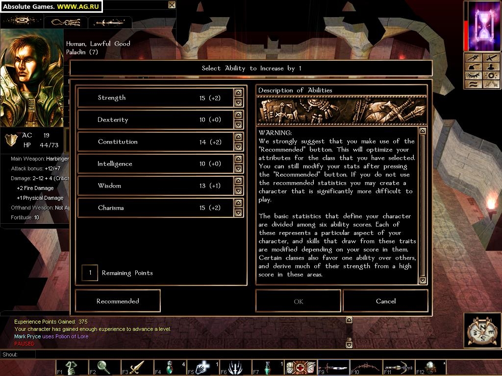 Neverwinter Nights Screenshot 4
