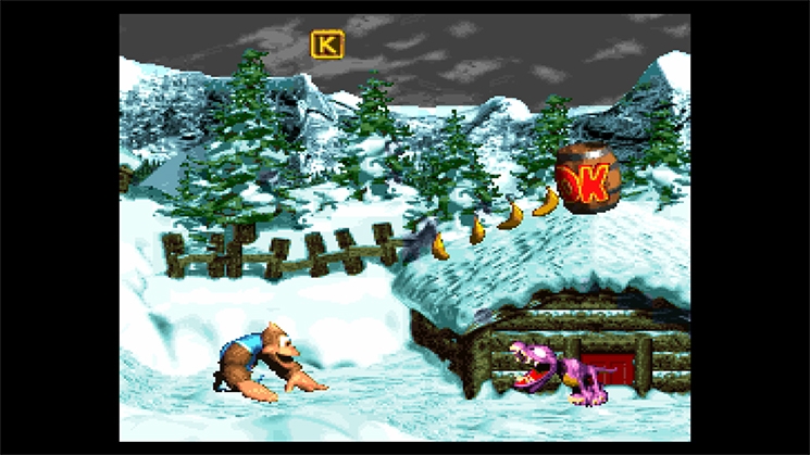 Donkey Kong Country 3: Dixie Kong's Double Trouble Screenshot 4