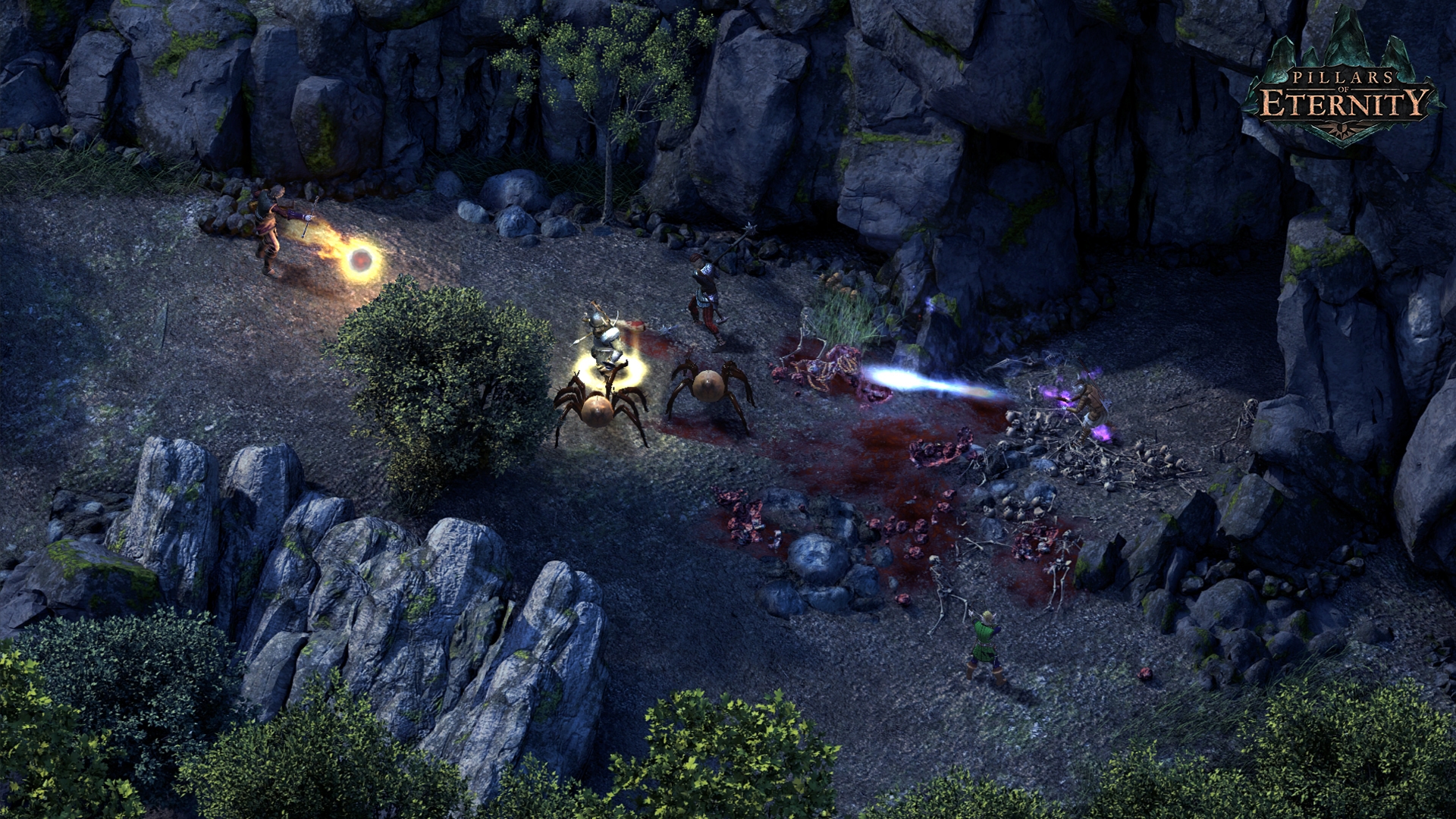 Pillars of Eternity Screenshot 5