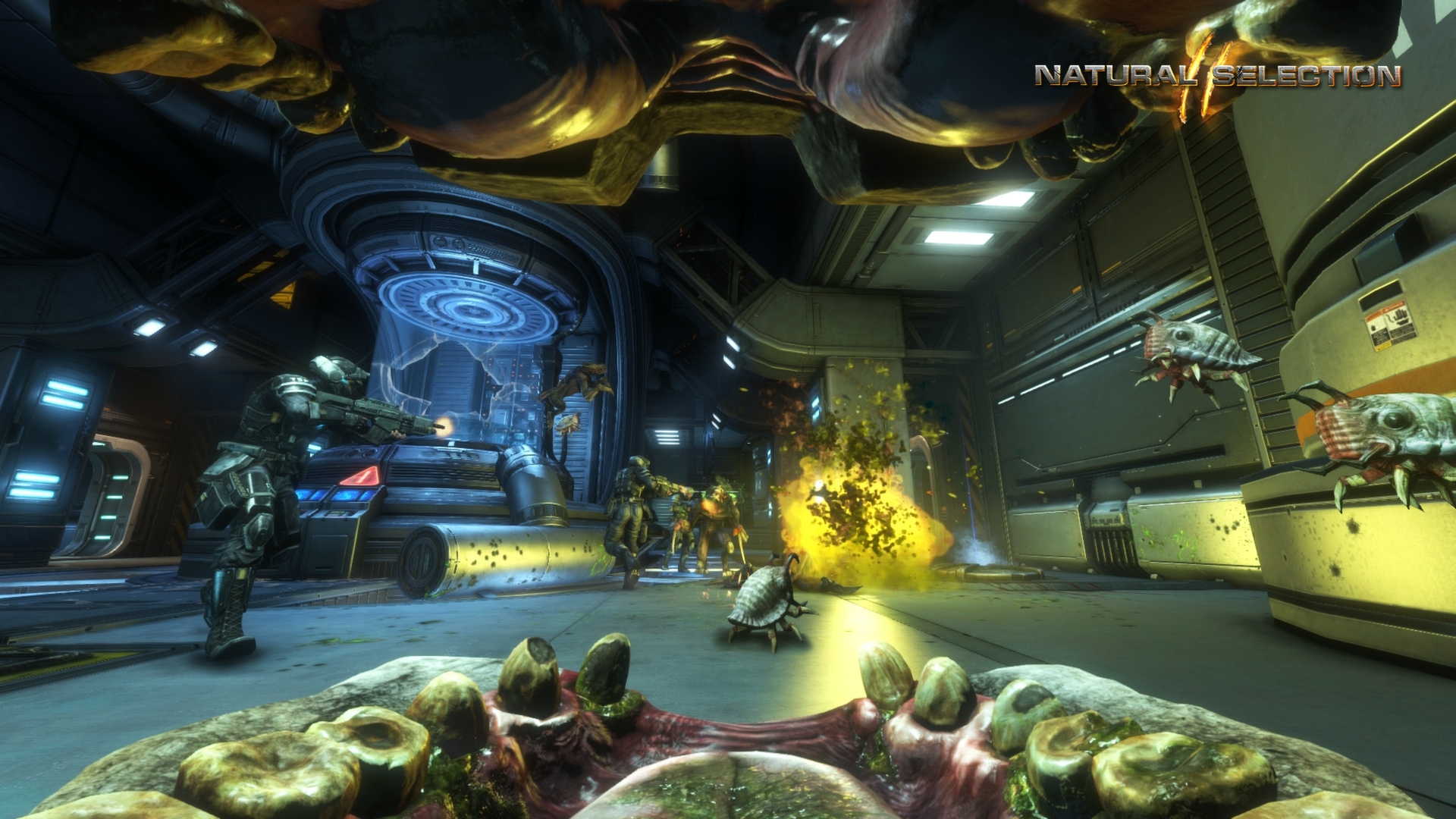 Natural Selection 2 Screenshot 5