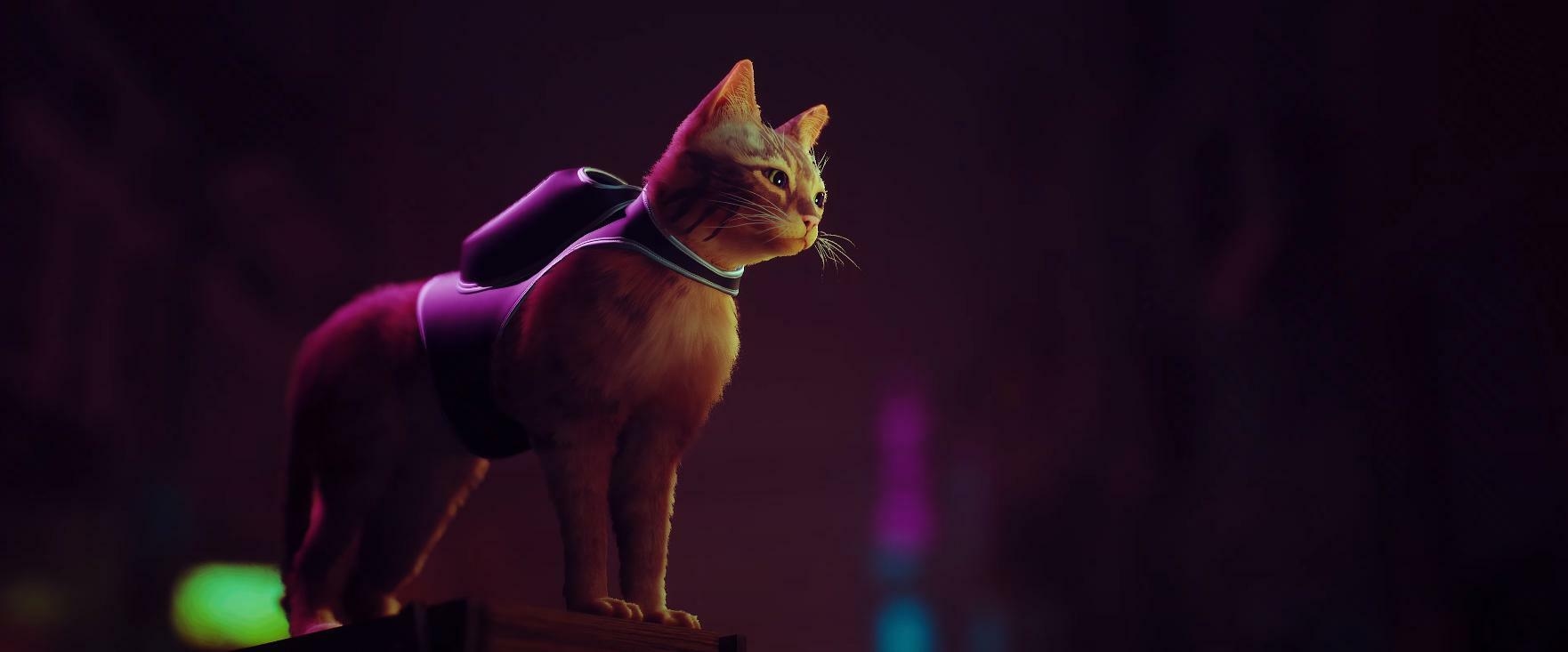 Stray Screenshot 2
