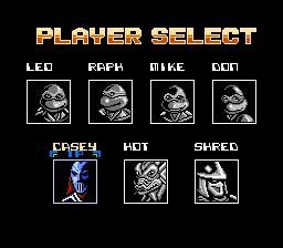 Teenage Mutant Ninja Turtles: Tournament Fighters Screenshot 3