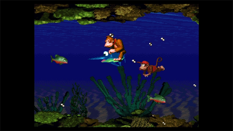 Donkey Kong Country Screenshot 3