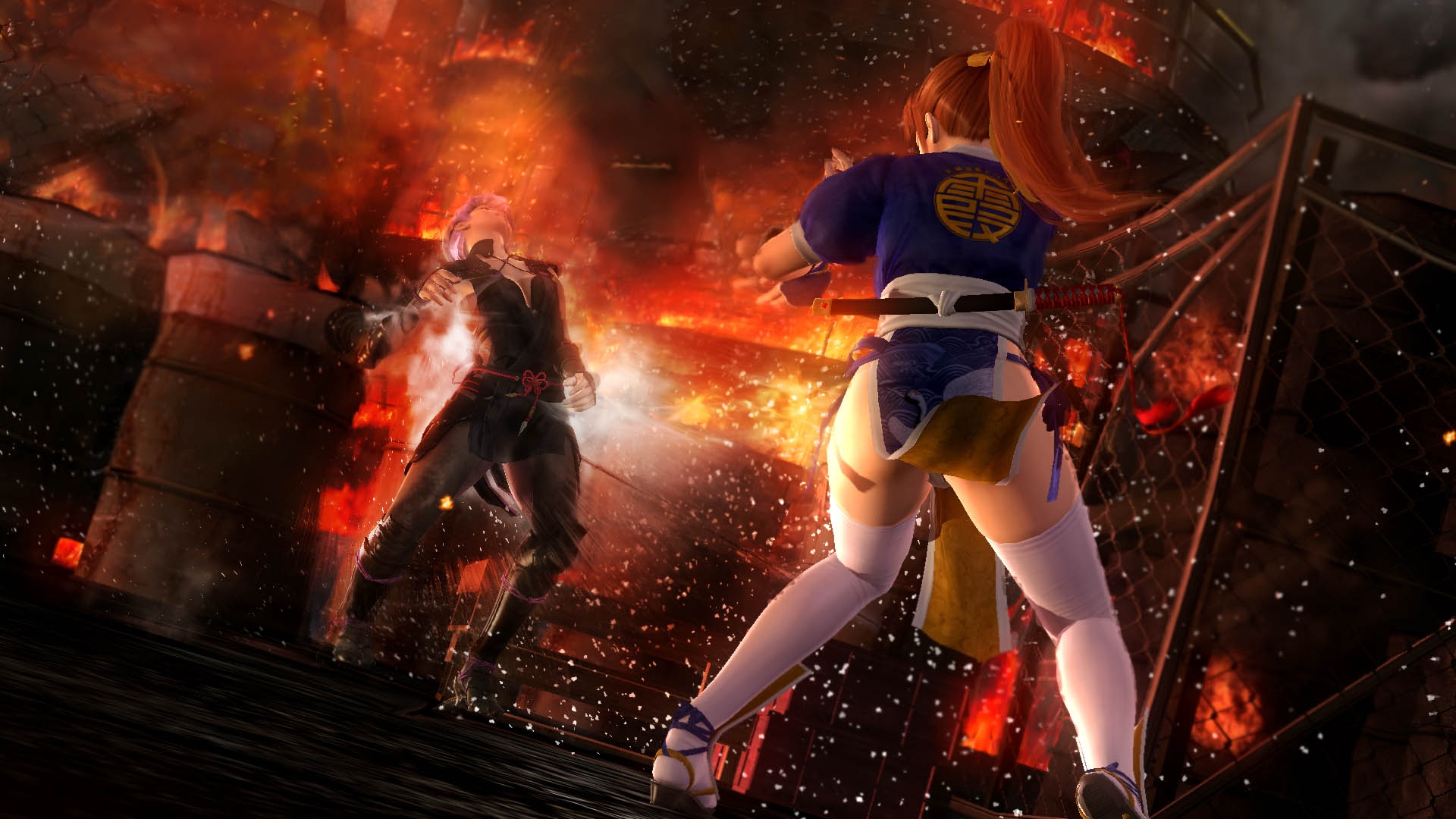 DEAD OR ALIVE 5 Last Round Screenshot 2