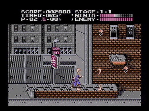Ninja Gaiden Screenshot 3