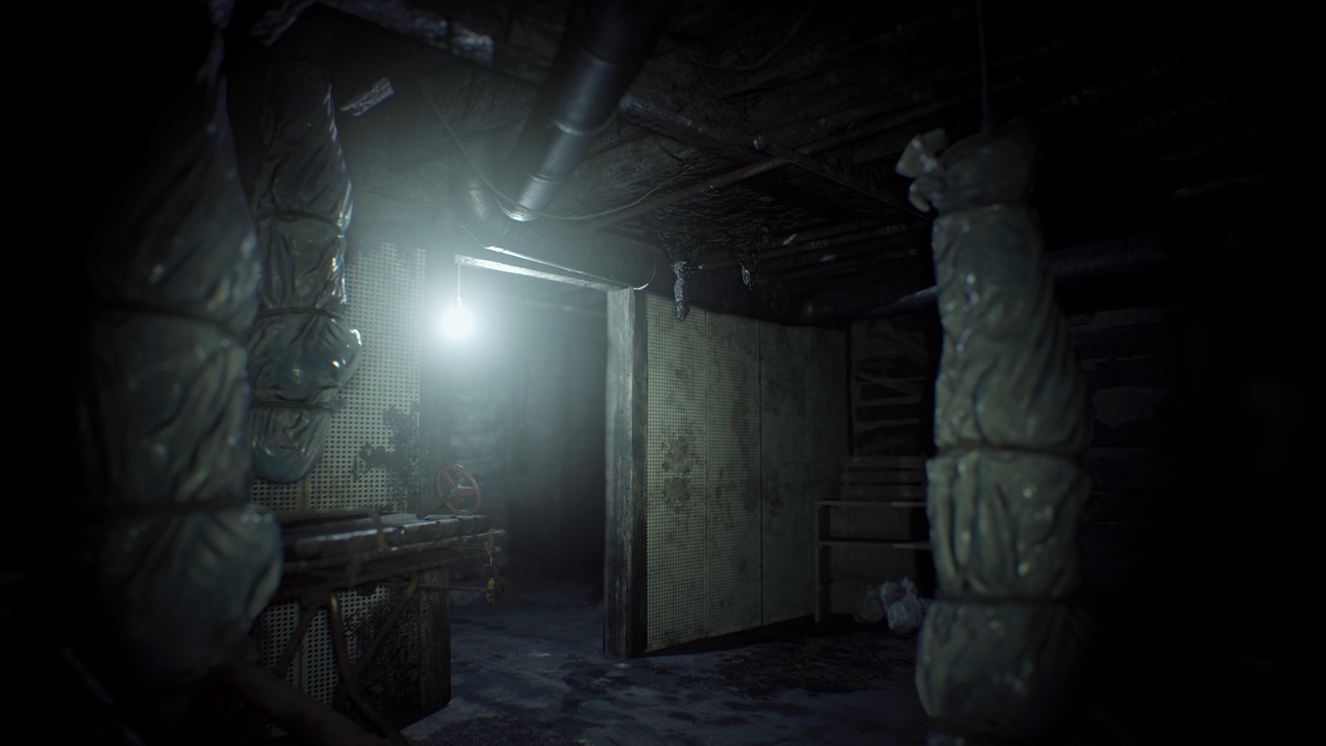 Resident Evil 7 / Biohazard 7 Teaser: Beginning Hour Screenshot 7