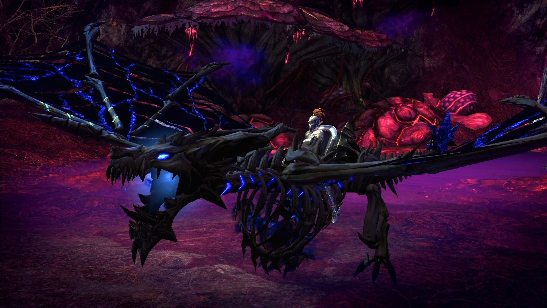 TERA: Ironward Pack Screenshot 2
