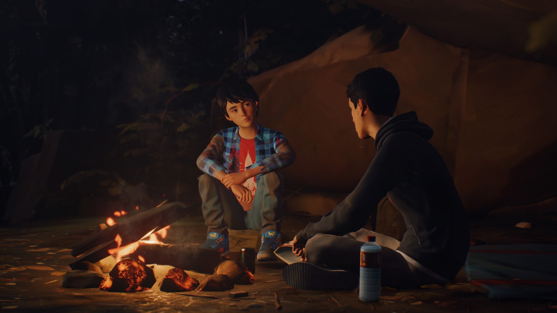 Life is Strange 2 Screenshot 2