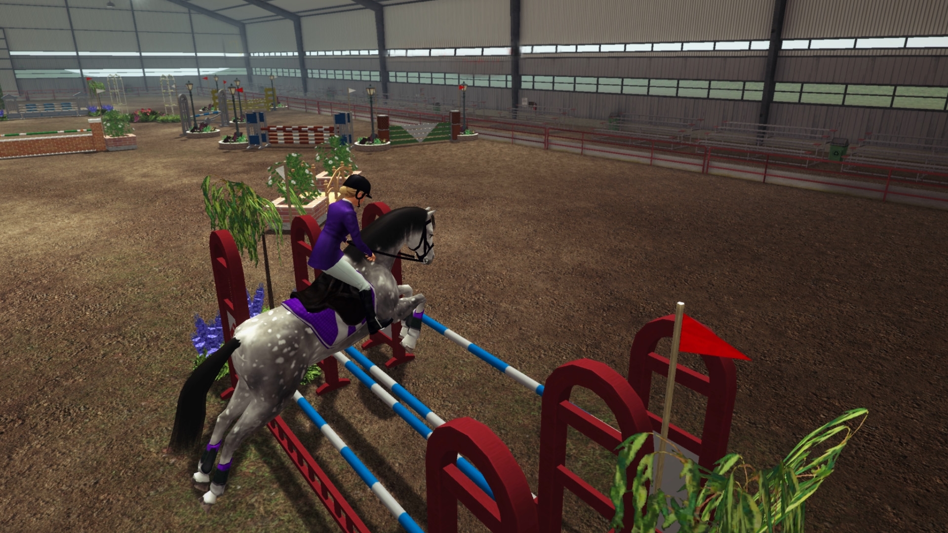 Riding Club Championships Screenshot 5
