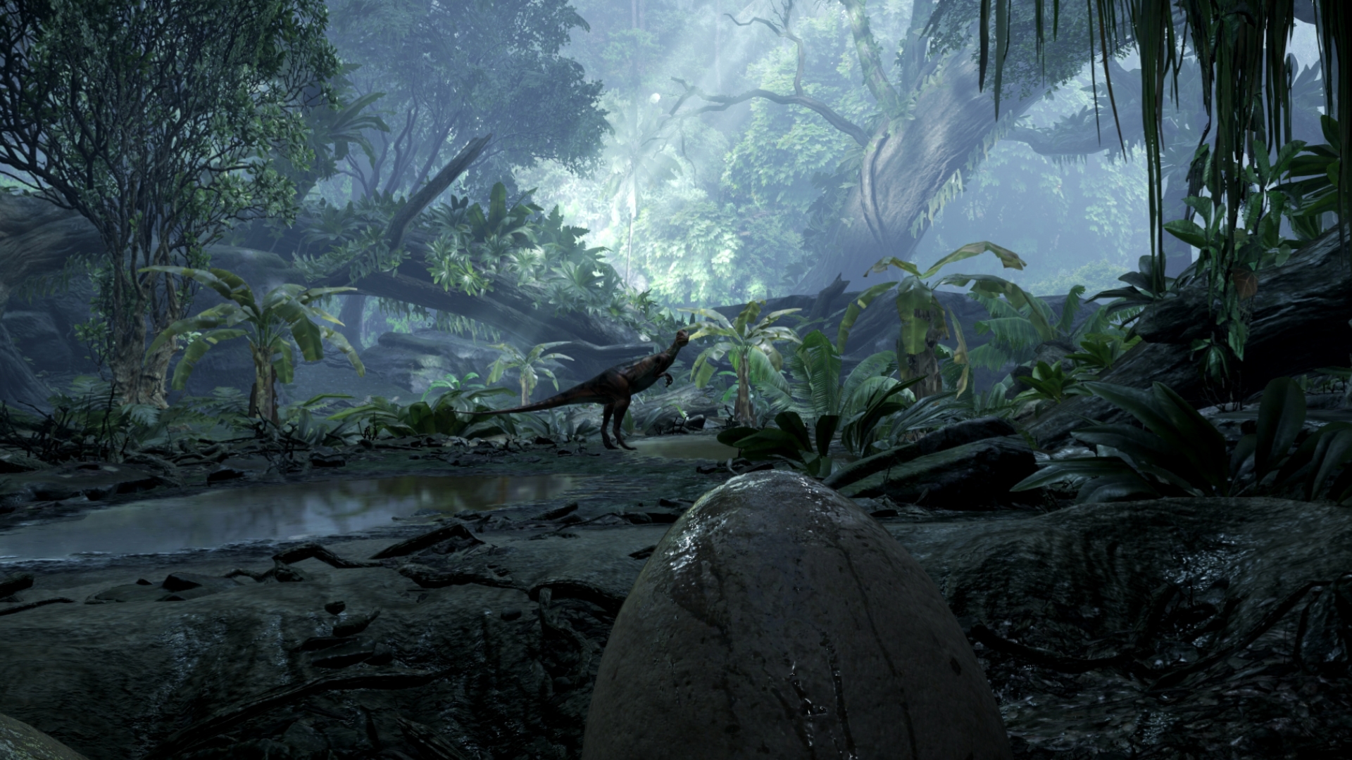Back to Dinosaur Island Screenshot 3