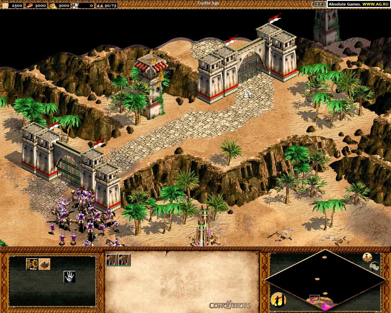 Age of Empires II: The Conquerors Screenshot 3