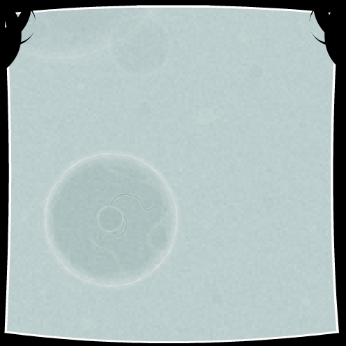 Coil Screenshot 7