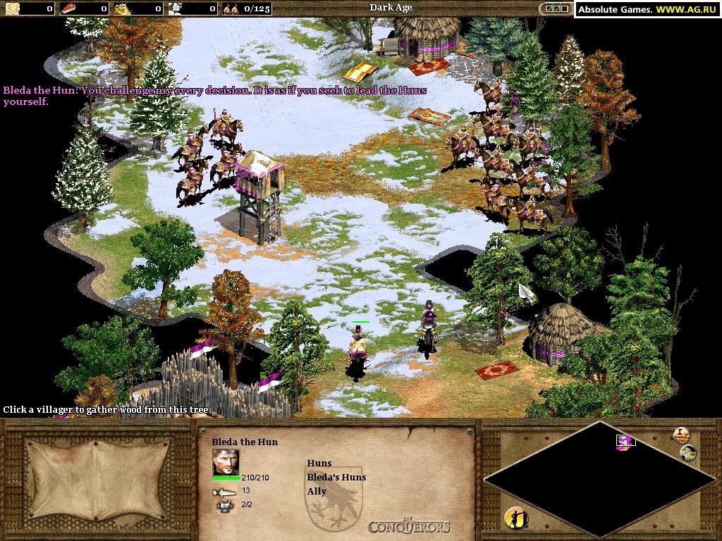Age of Empires II: The Conquerors Screenshot 5
