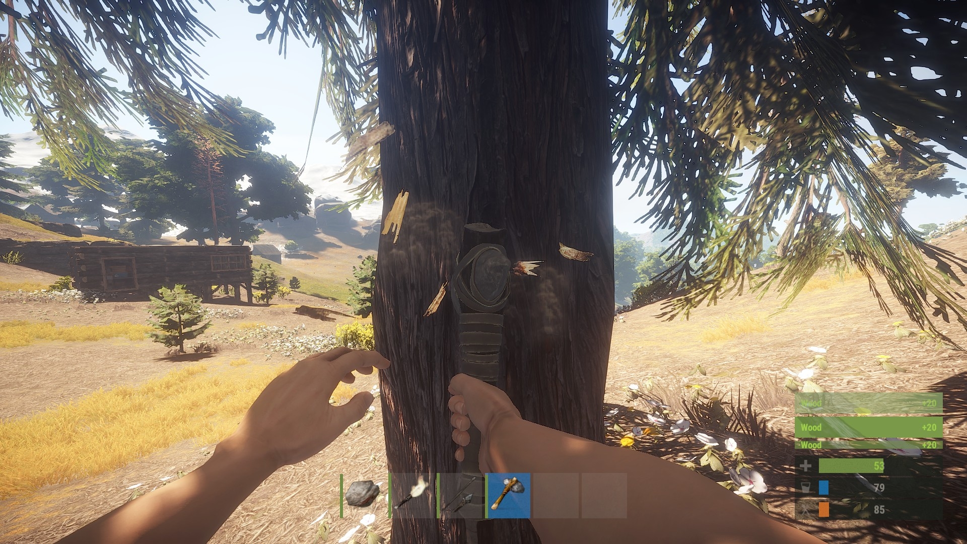 Rust Screenshot 6
