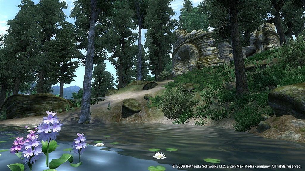 The Elder Scrolls IV: Oblivion Game of the Year Edition Screenshot 4