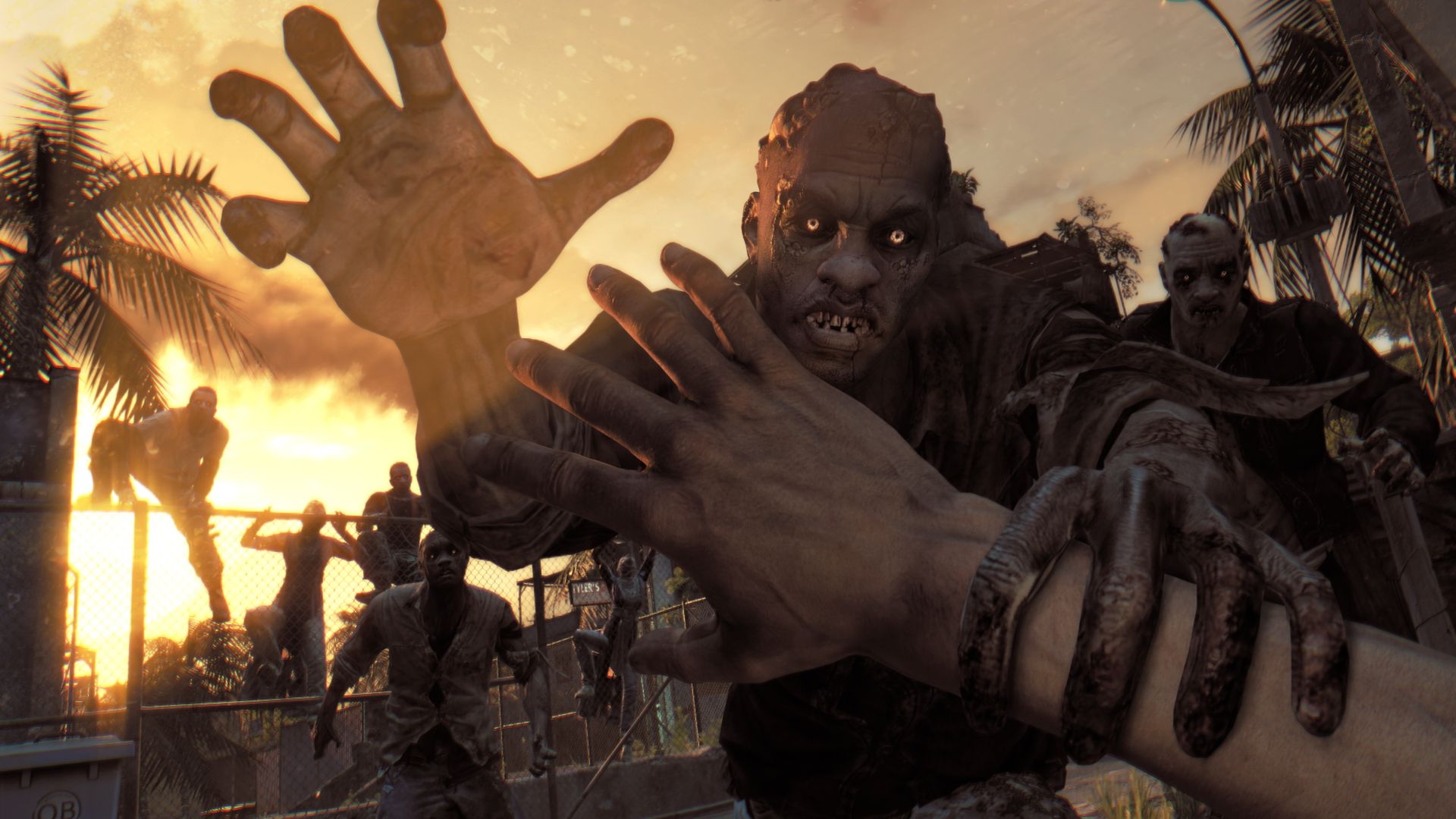 Dying Light: The Following - Enhanced Edition Screenshot 5