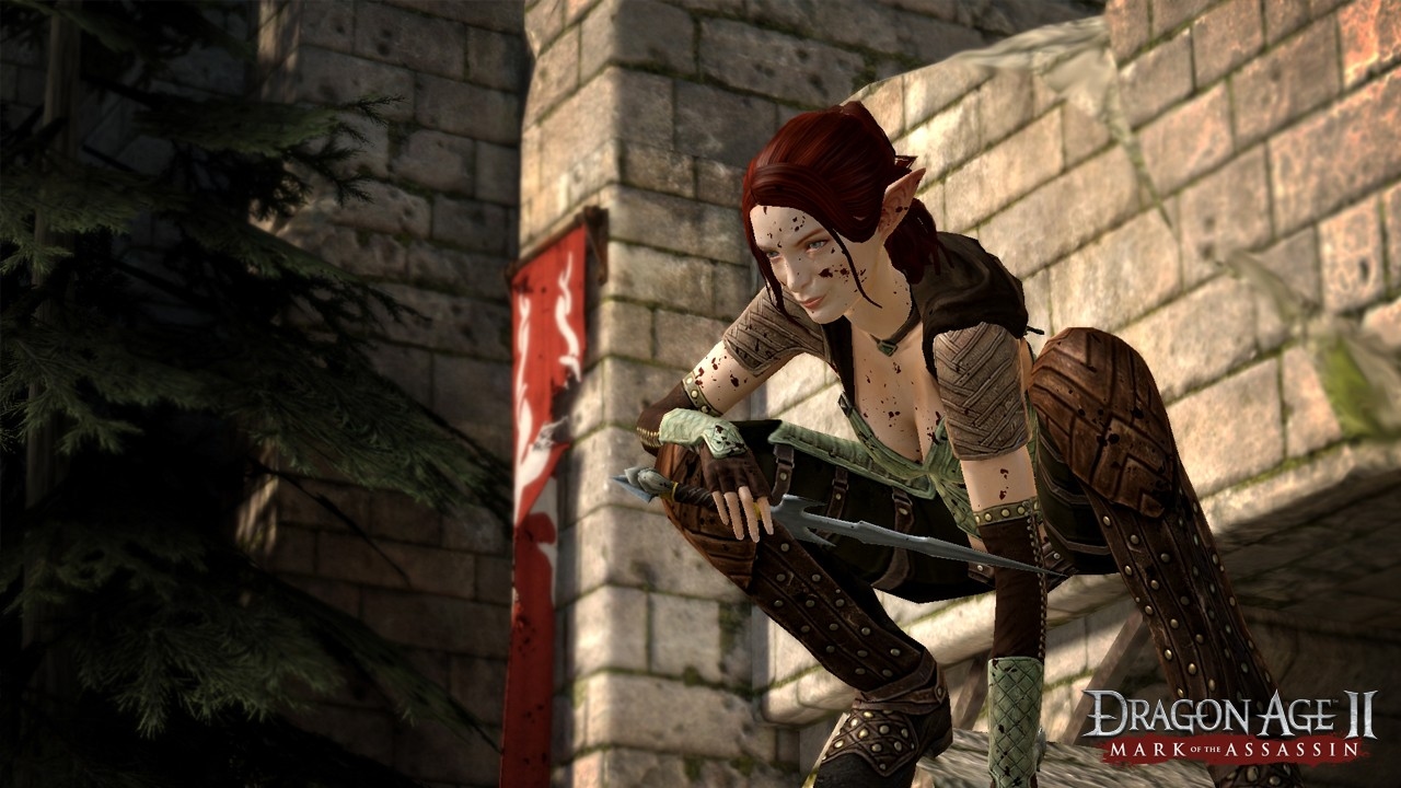 Dragon Age 2: Mark of the Assassin Screenshot 4